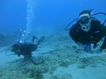 Oahu Diving 17