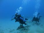 Oahu Diving 18