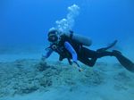 Oahu Diving 19