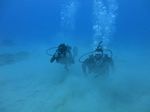 Oahu Diving 20