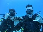 Oahu Diving 24