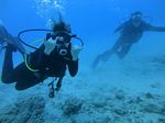 Oahu Diving 25