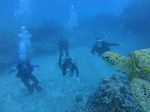 Oahu Diving 35