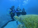 Oahu Diving 36