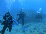 Oahu Diving 39