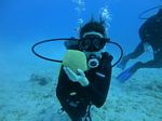Oahu Diving 43