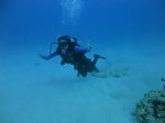 Oahu Diving 46