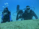 Oahu Diving 55