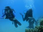 Oahu Diving 56