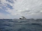 Hawaii Scuba divng 20