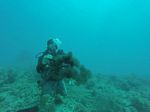 Hawaii Scuba divng 03