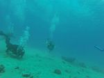 Hawaii Scuba divng 37