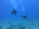 Hawaii Scuba divng 70