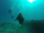 Hawaii Scuba divng 62