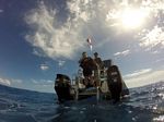 Hawaii Scuba divng 64