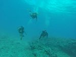 Hawaii Scuba divng 97