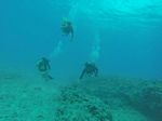 Hawaii Scuba divng 98