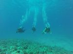 Hawaii Scuba divng 27