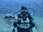 Hawaii Scuba divng 70