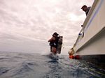 Hawaii Scuba divng 40