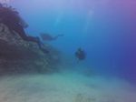 Hawaii Scuba divng 27