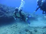 Hawaii Scuba divng 28