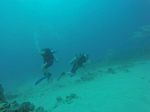 Hawaii Scuba divng 20