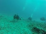 Hawaii Scuba divng 79