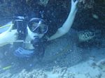 Hawaii Scuba divng 66