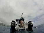 Hawaii Scuba divng 36