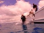 Hawaii scuba 15