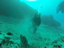 Hawaii Scuba divng 78