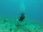Hawaii Scuba divng 77