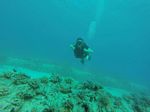 Hawaii Scuba divng 87
