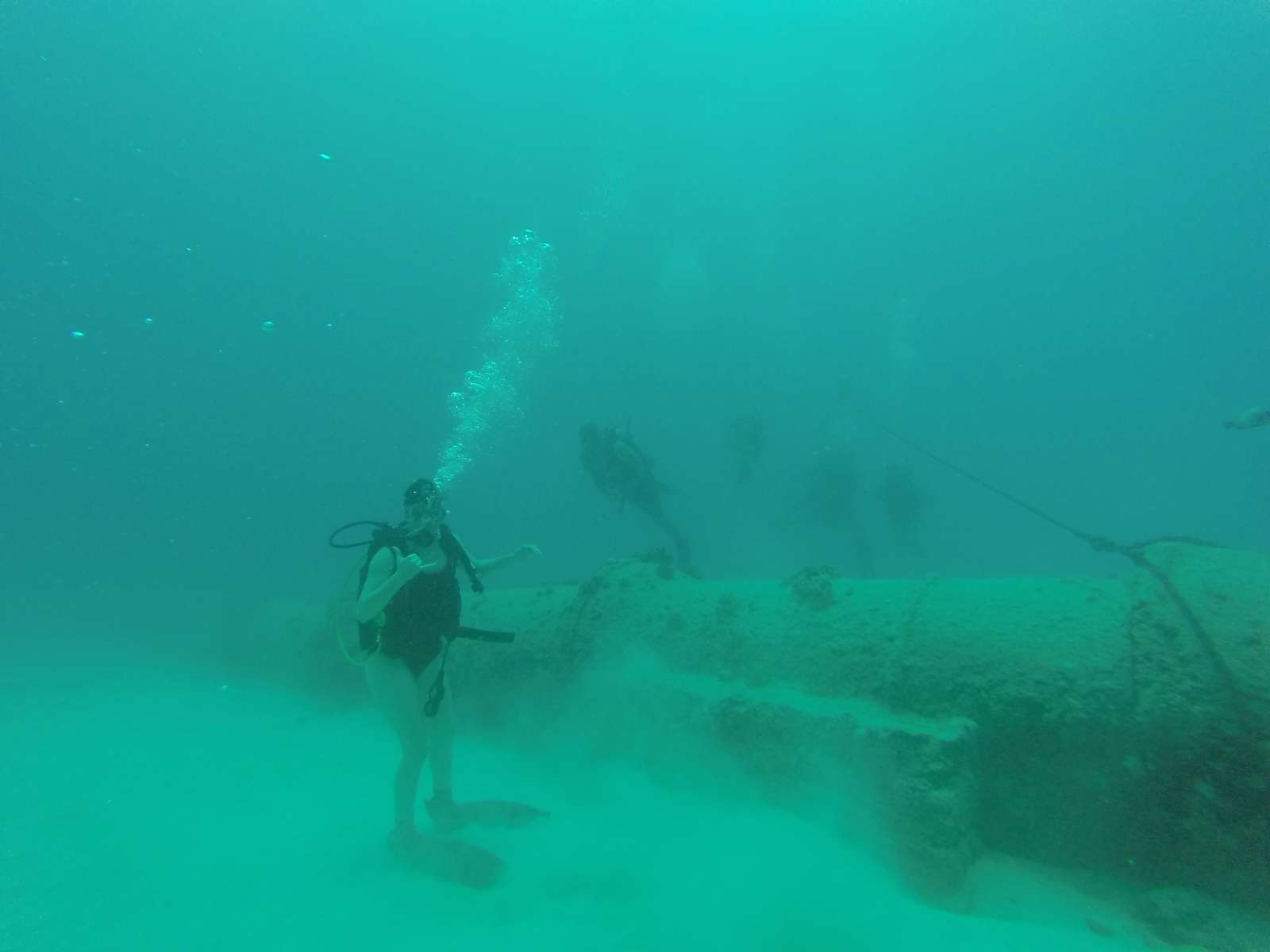Hawaii Scuba Diving - 06-02-2016
