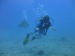 Hawaii Scuba divng 22