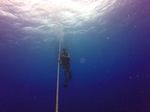Hawaii Scuba divng 67