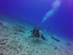 Hawaii Scuba divng 91