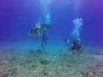Hawaii Scuba divng 95