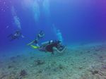 Hawaii Scuba divng 96