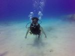 Hawaii Scuba divng 29