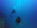 Hawaii Scuba divng 15