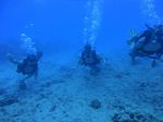 Hawaii Scuba divng 21
