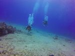 Hawaii Scuba divng 54