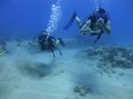 Hawaii Scuba divng 14