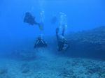 Hawaii Scuba divng 74