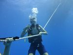 Hawaii Scuba divng 12