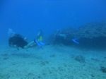 Hawaii Scuba divng 56