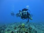 Hawaii Scuba divng 76