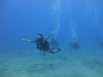 Hawaii Scuba divng 53